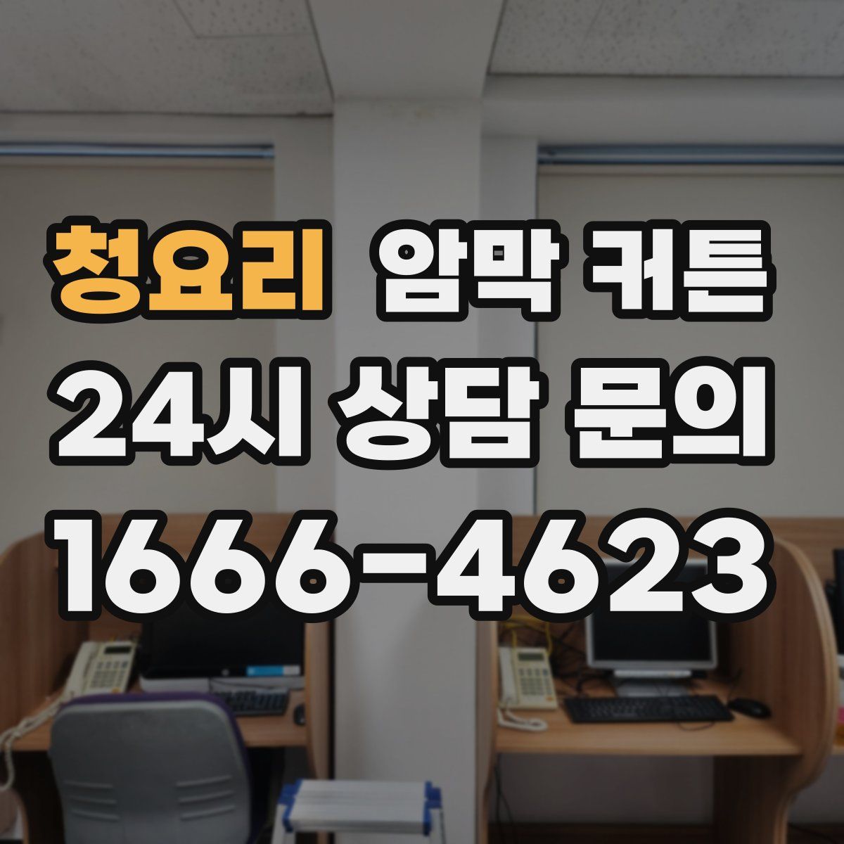청요리 암막 커튼