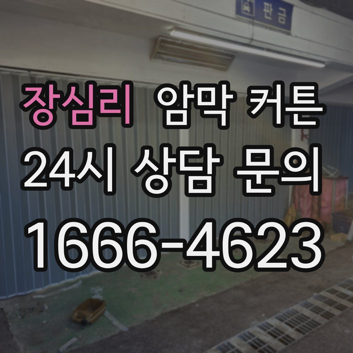 장심리 암막 커튼