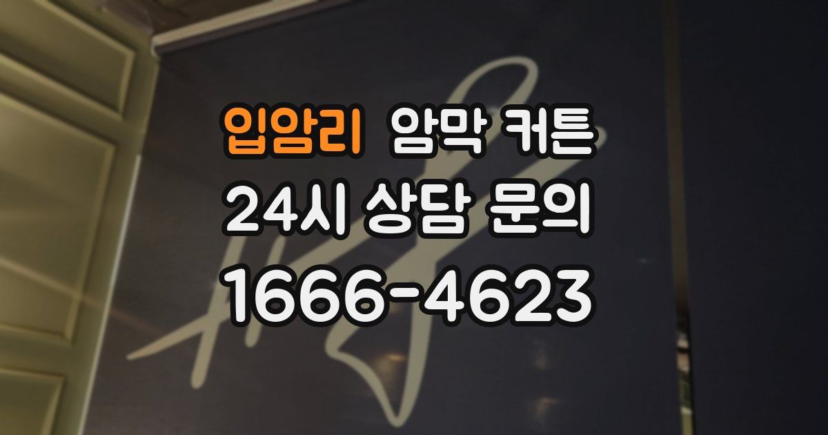 입암리 암막 커튼