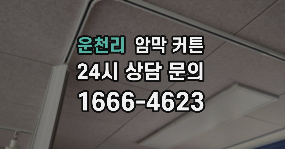 운천리 암막 커튼