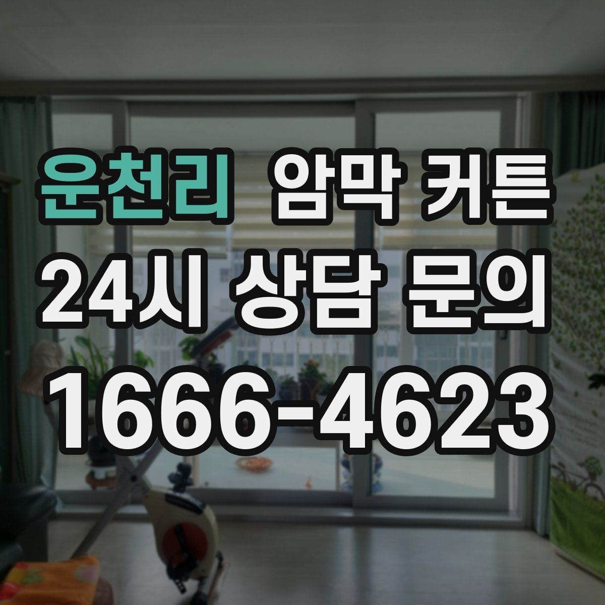 운천리 암막 커튼