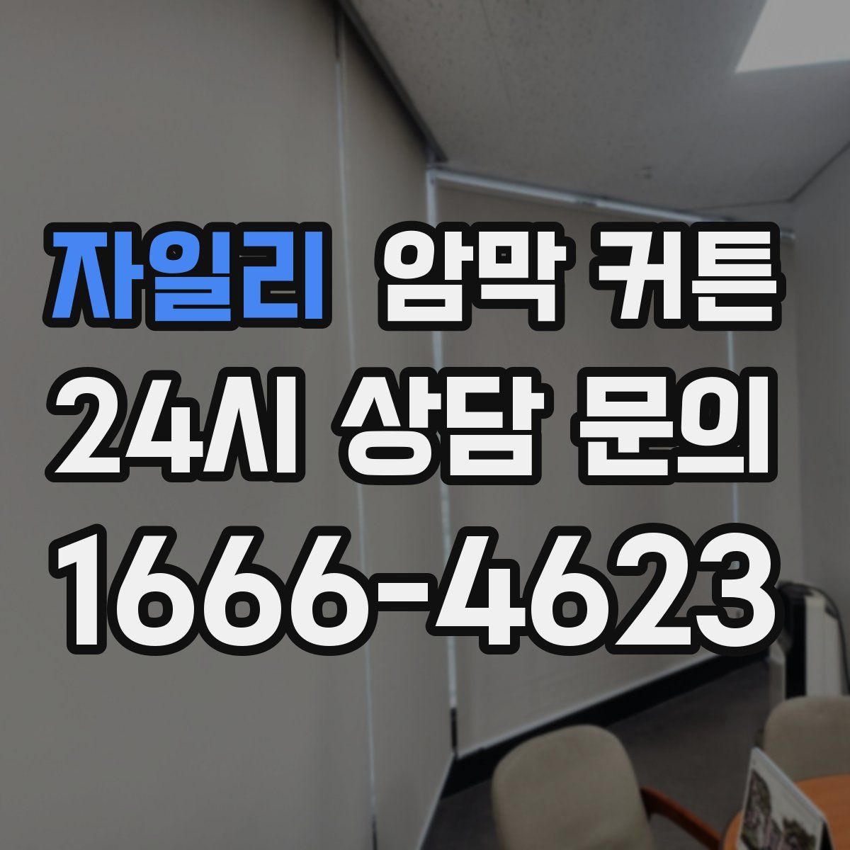 자일리 암막 커튼