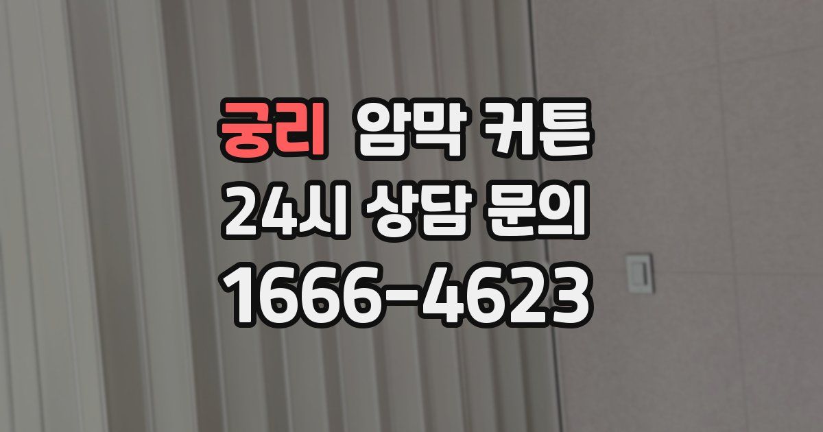 궁리 암막 커튼