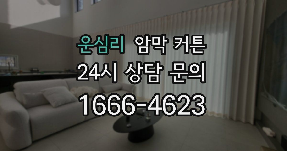 운심리 암막 커튼