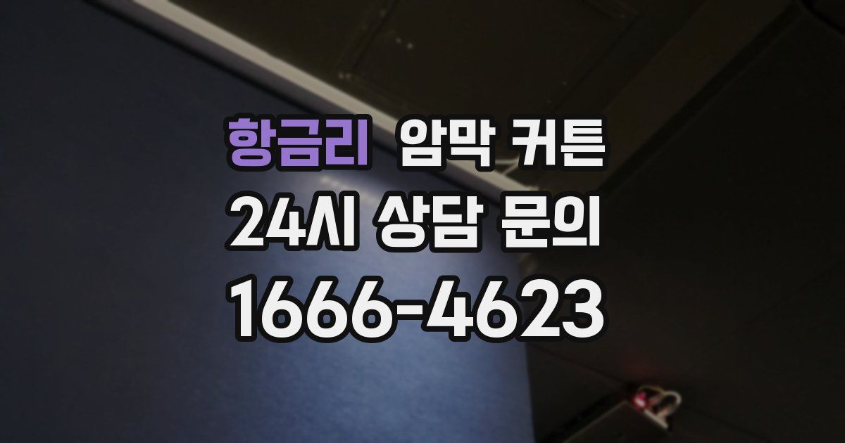 항금리 암막 커튼