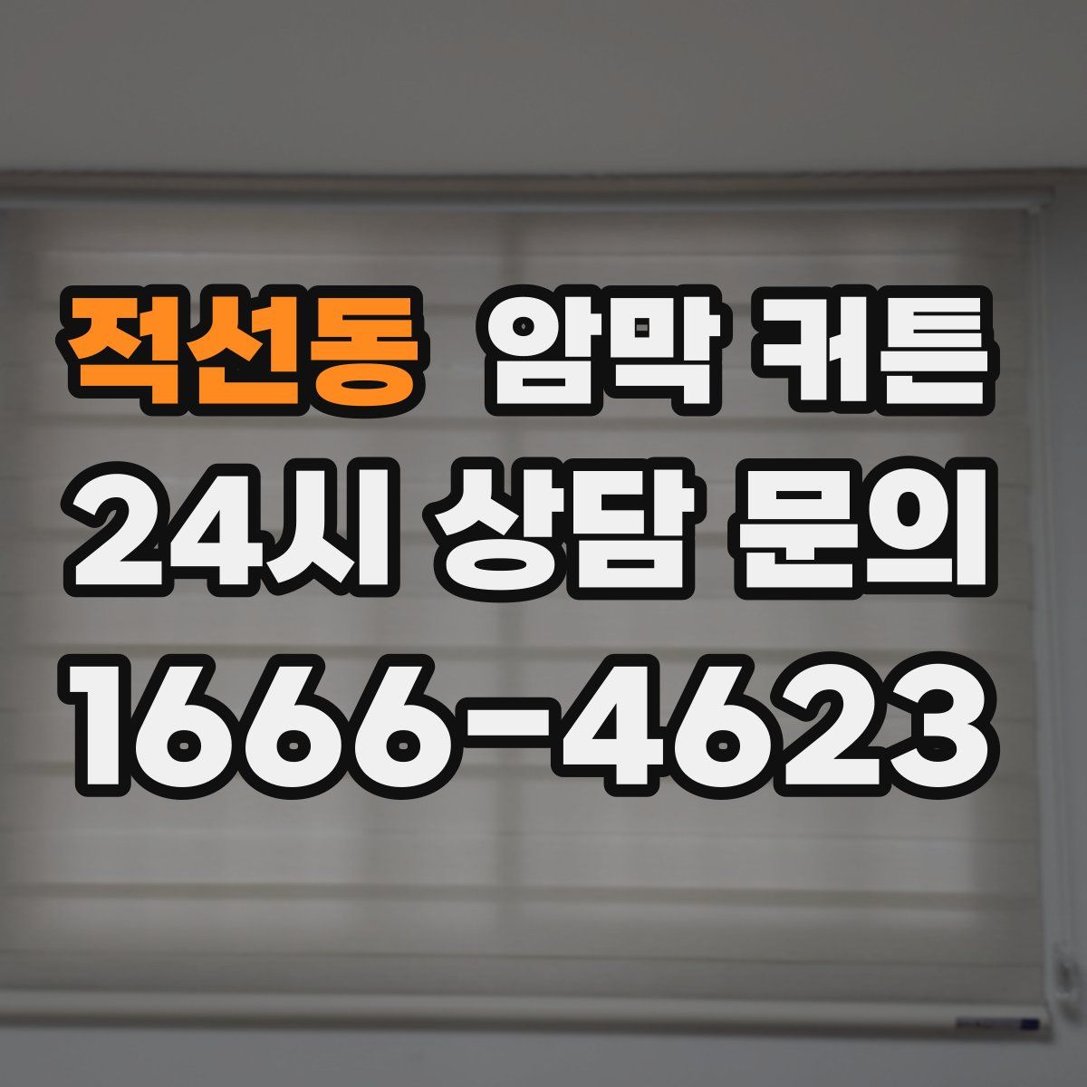 적선동 암막 커튼