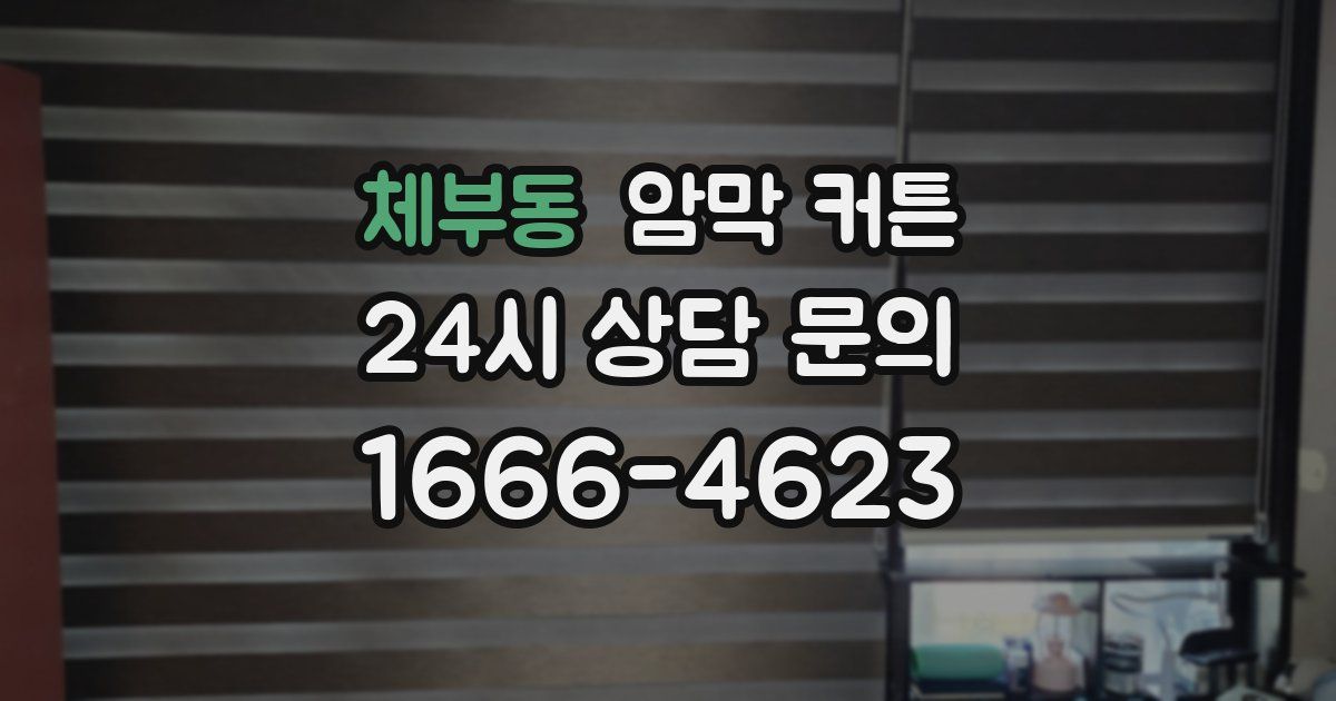 체부동 암막 커튼
