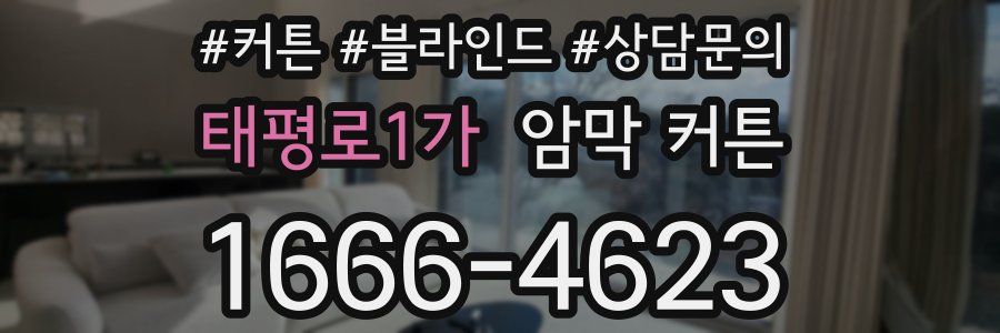 태평로1가 암막 커튼