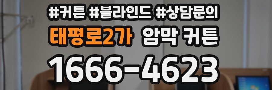태평로2가 암막 커튼