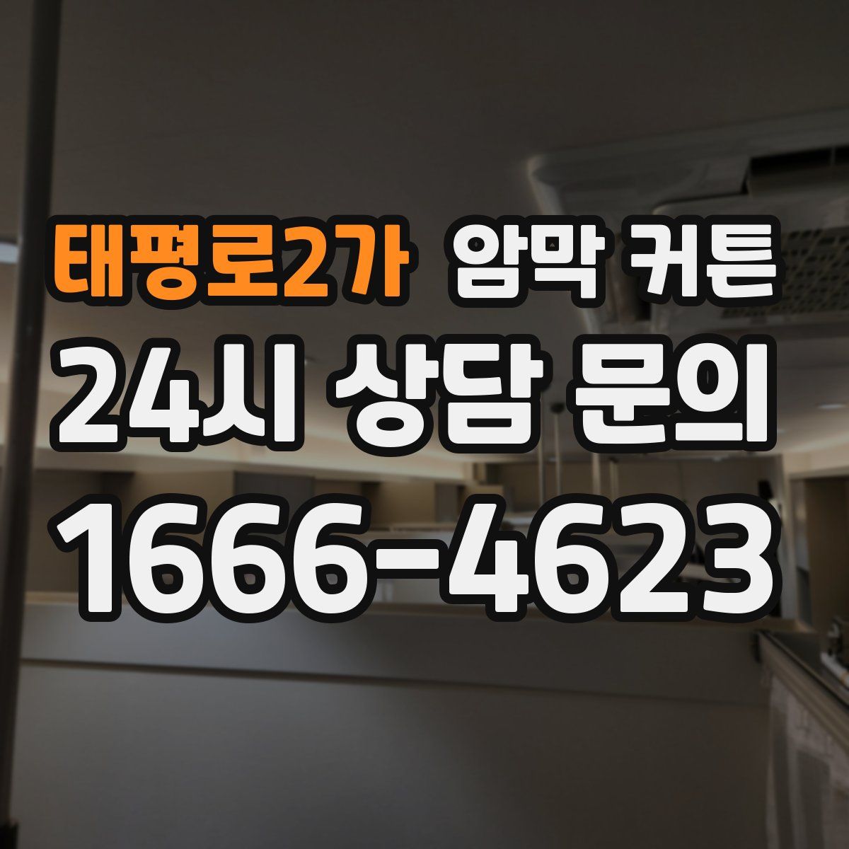 태평로2가 암막 커튼
