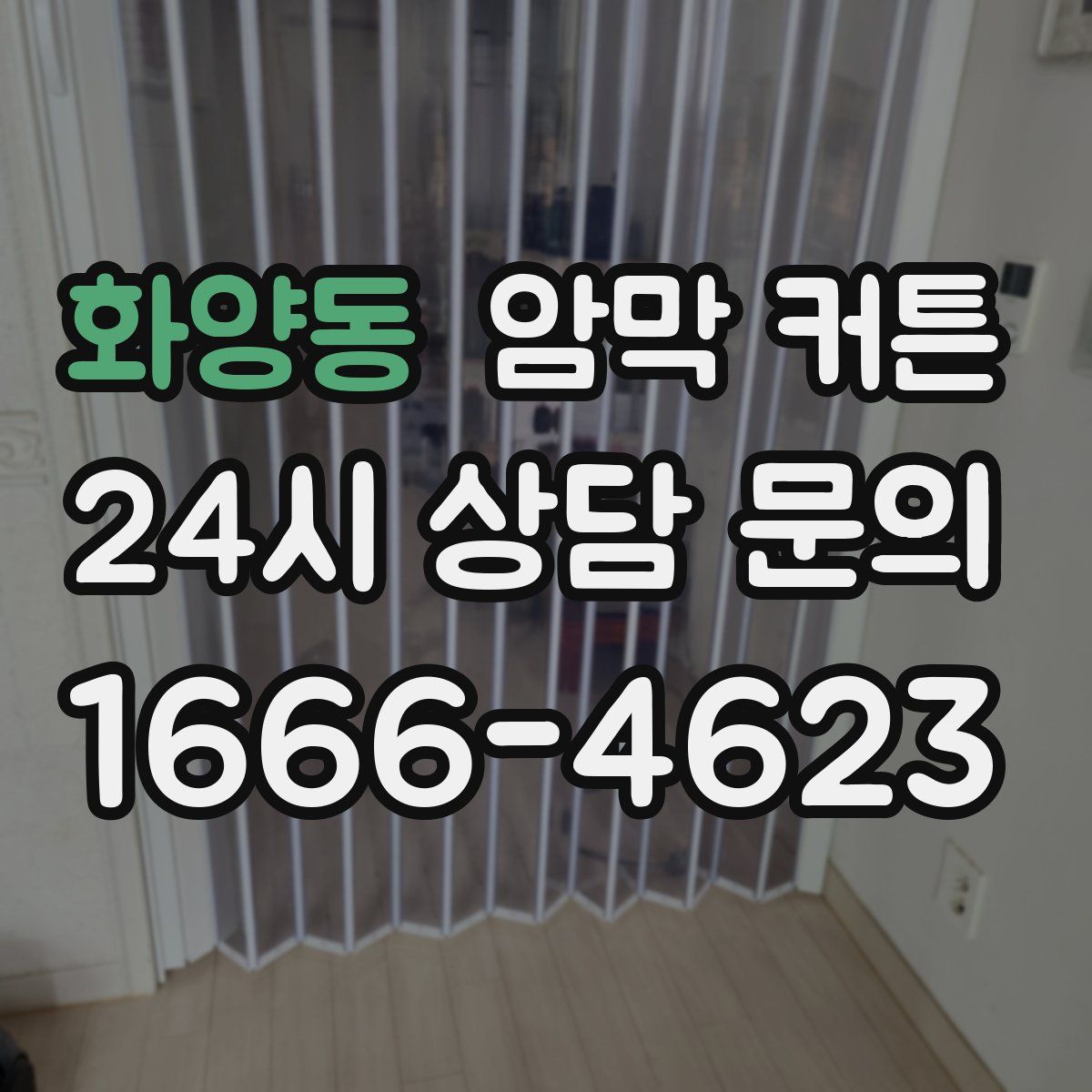 화양동 암막 커튼