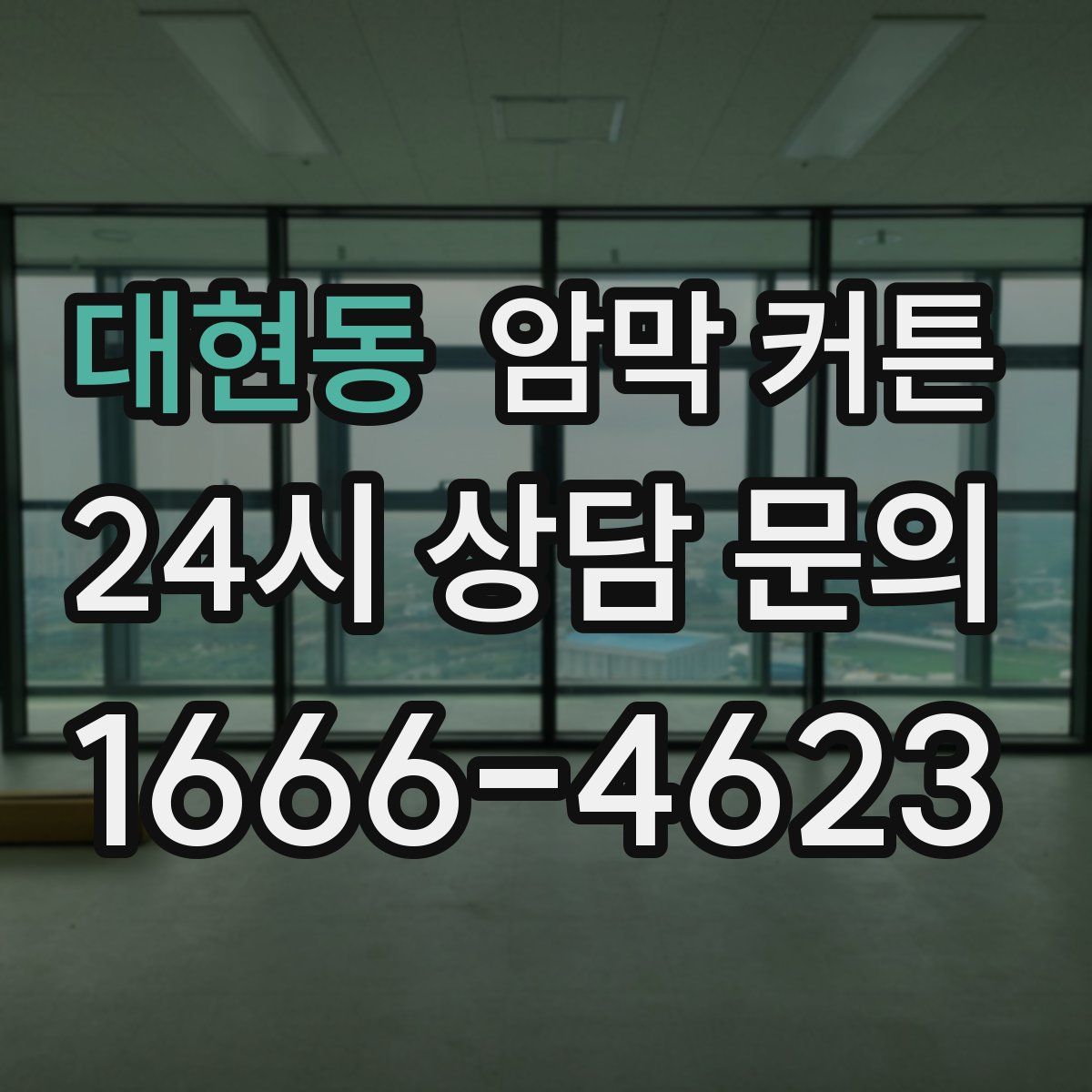 대현동 암막 커튼