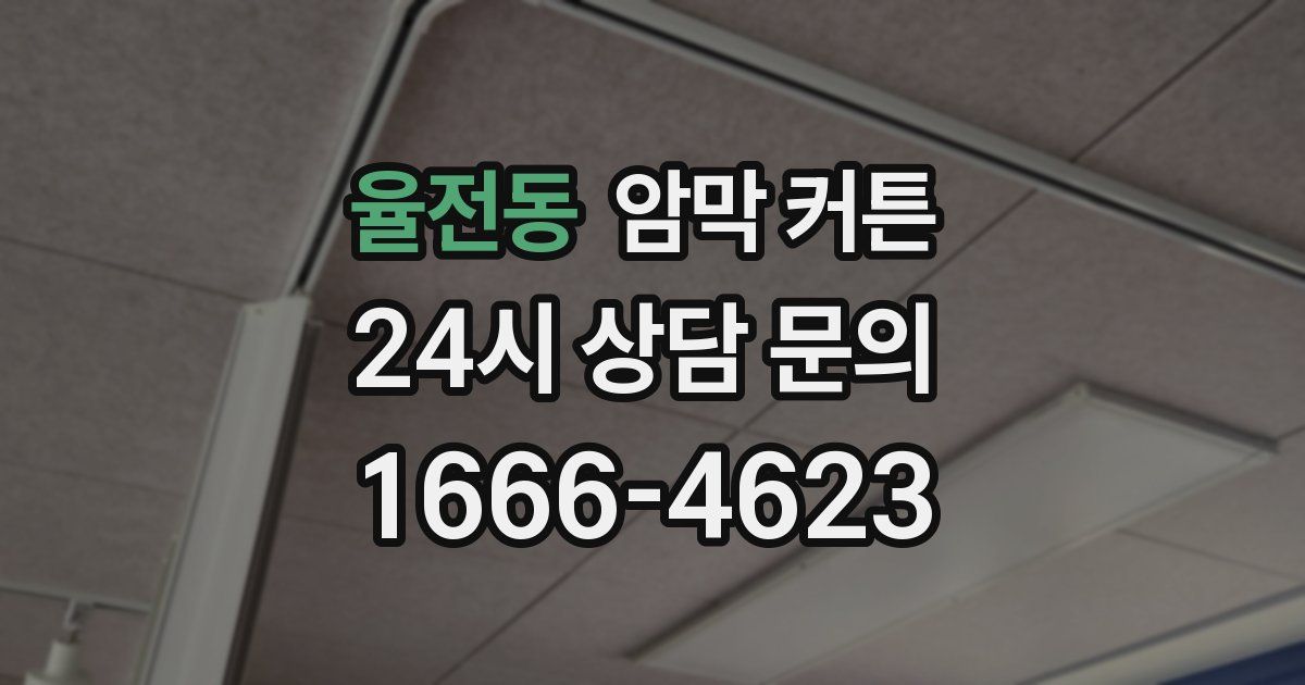 율전동 암막 커튼