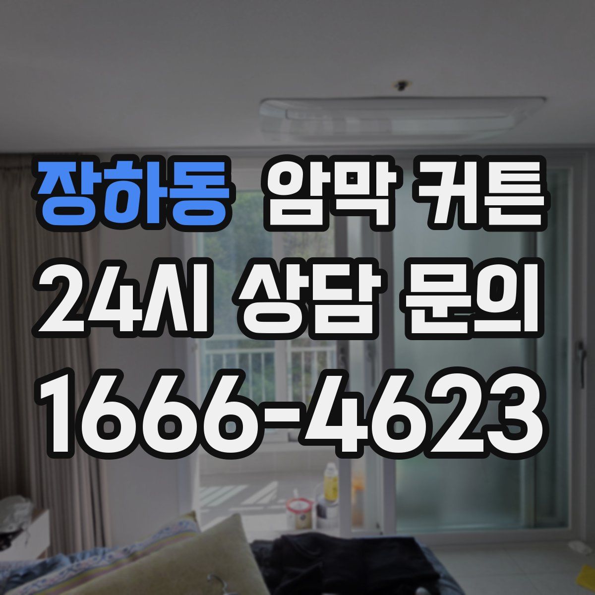 장하동 암막 커튼