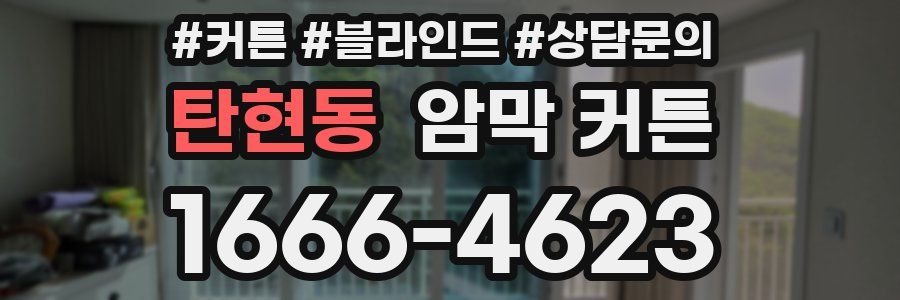 탄현동 암막 커튼