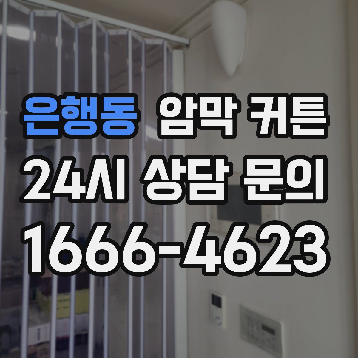 은행동 암막 커튼