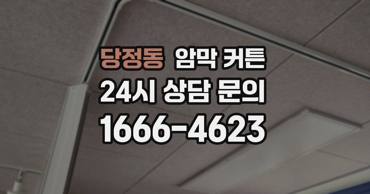 당정동 암막 커튼