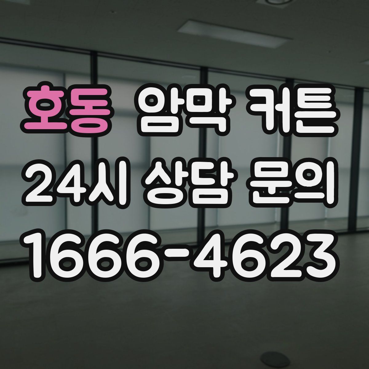 호동 암막 커튼