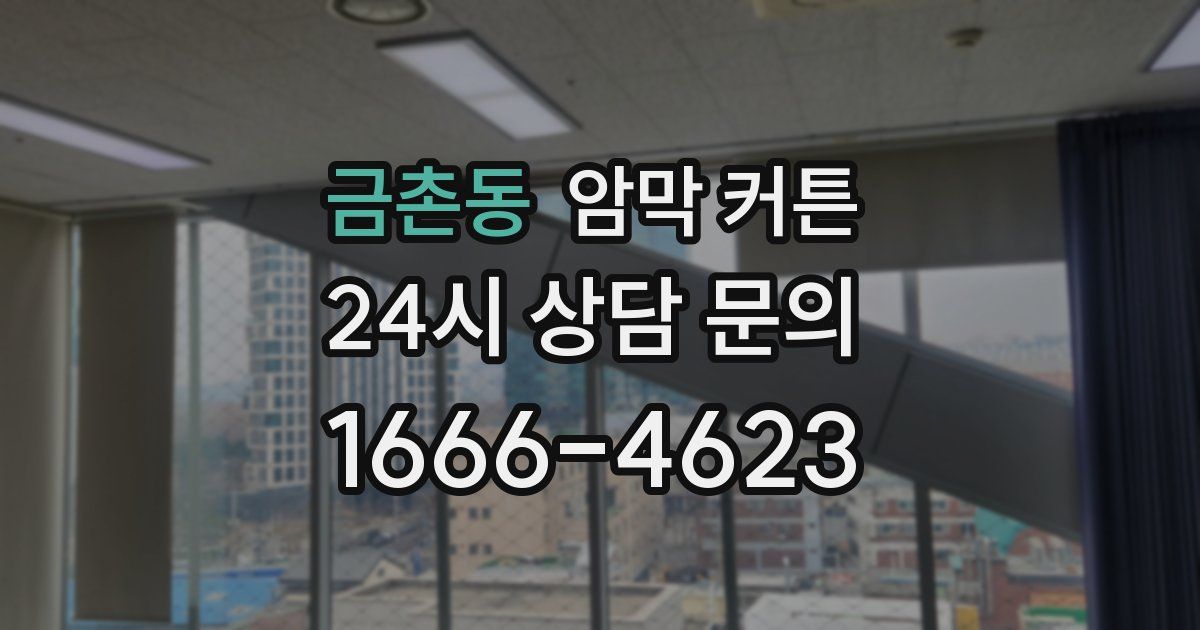 금촌동 암막 커튼