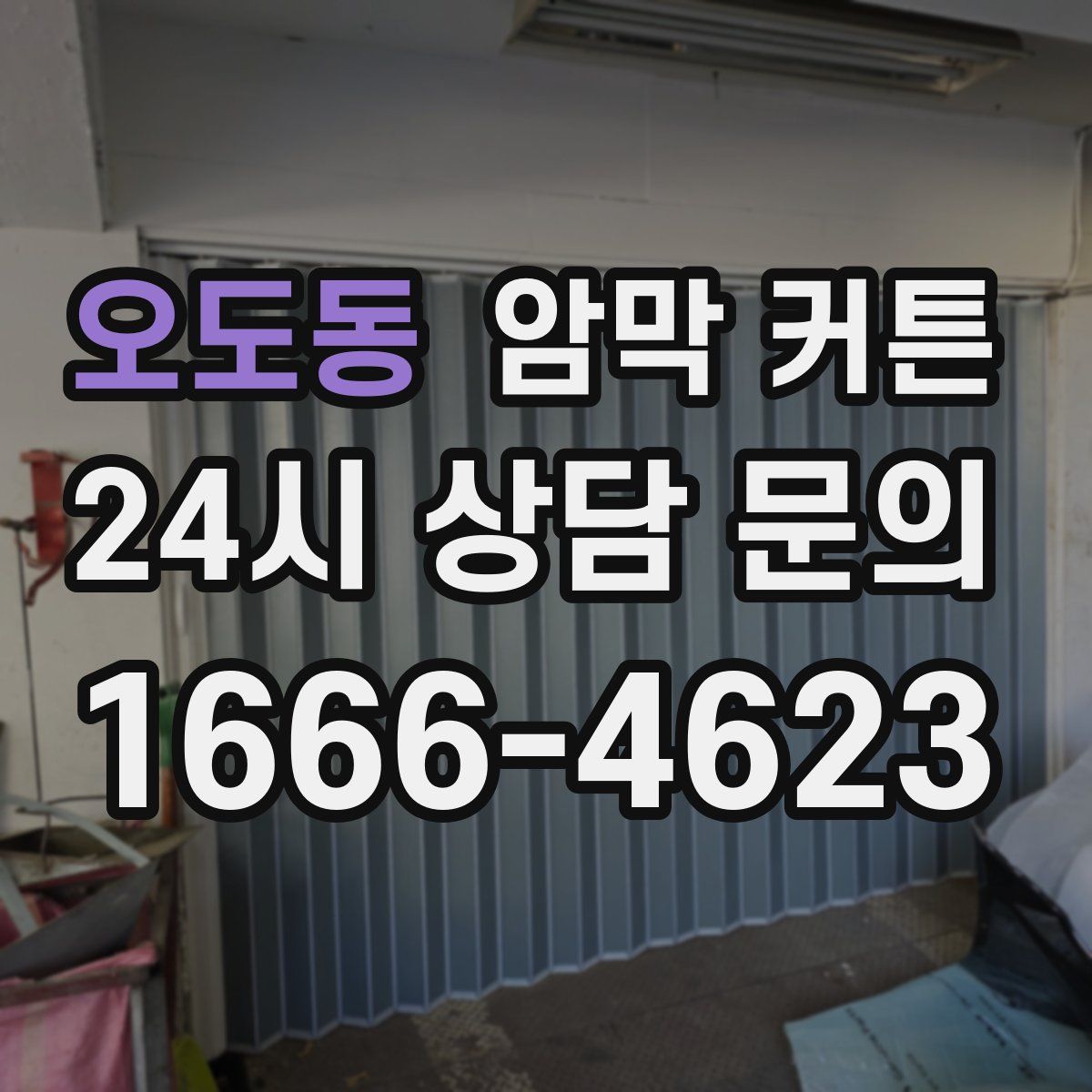 오도동 암막 커튼
