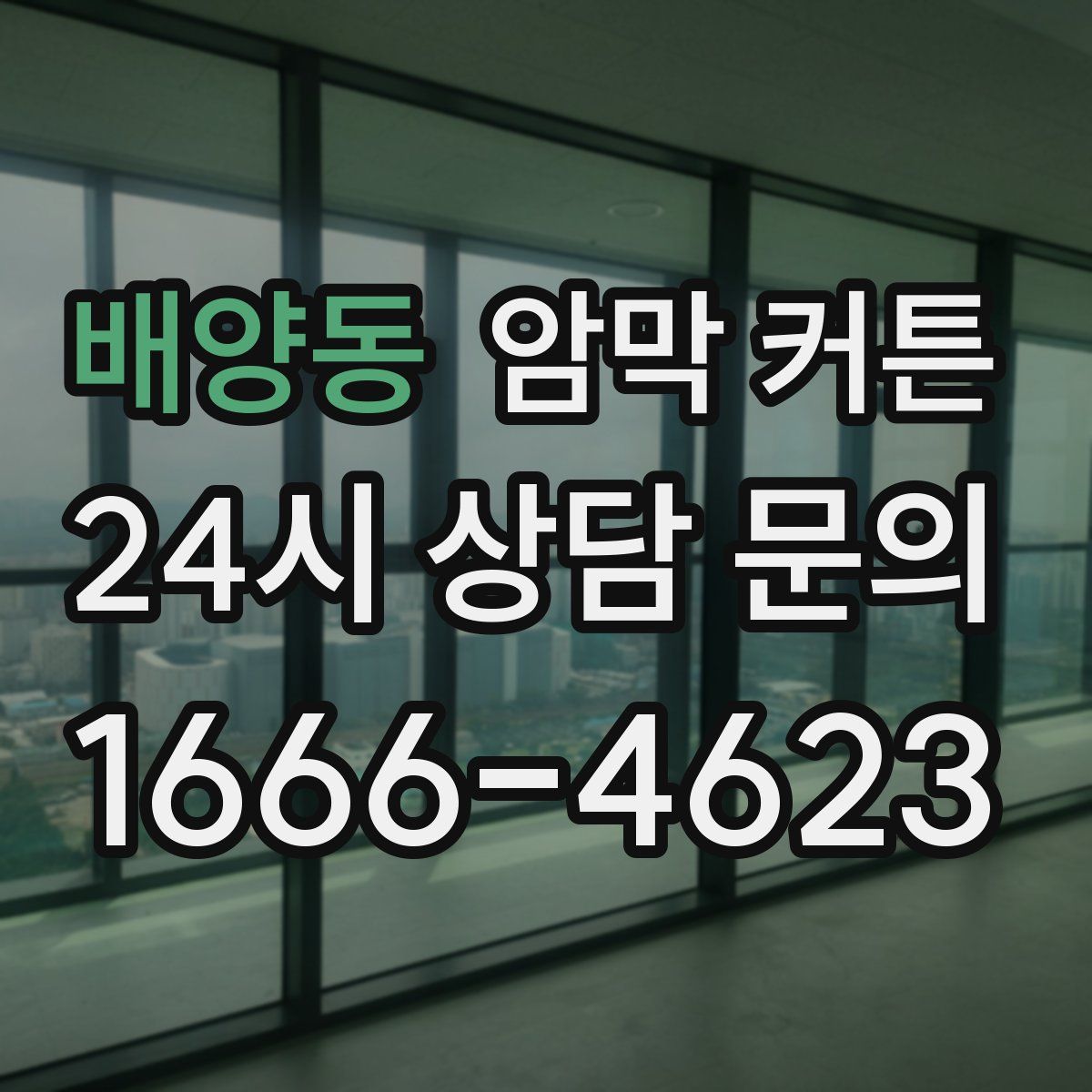 배양동 암막 커튼