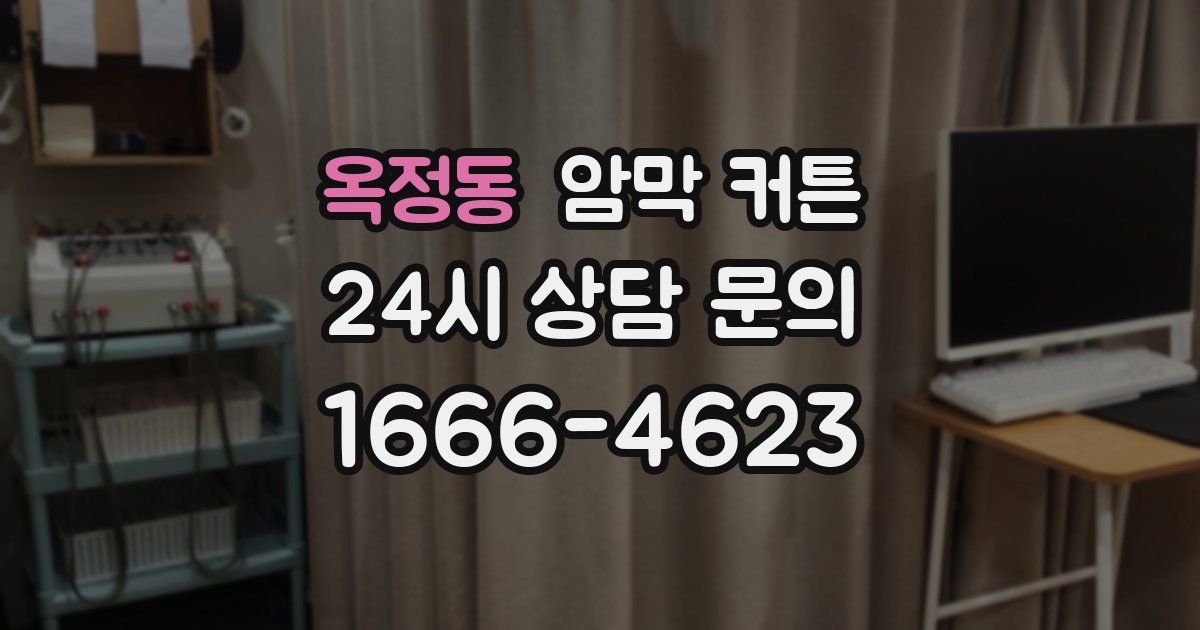 옥정동 암막 커튼