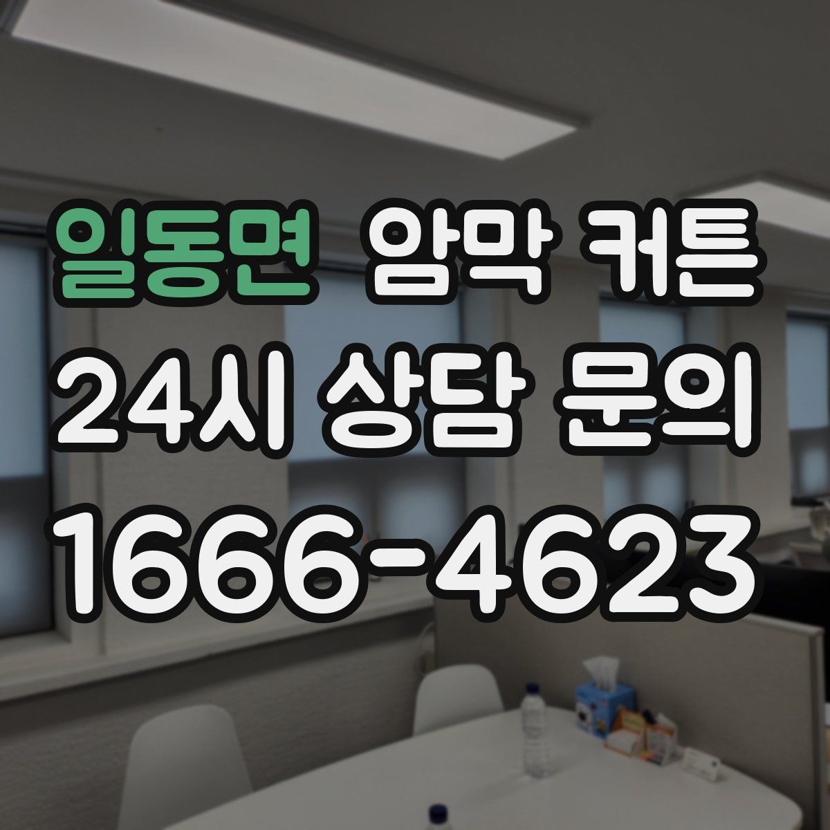 일동면 암막 커튼