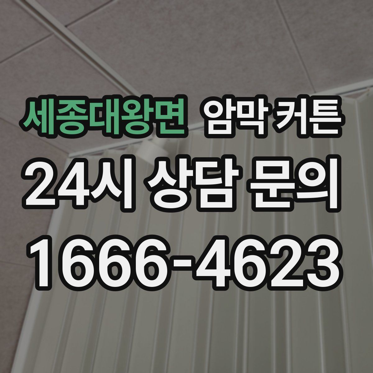 세종대왕면 암막 커튼