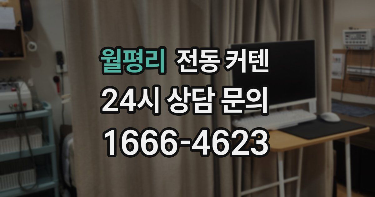 월평리 전동 커텐