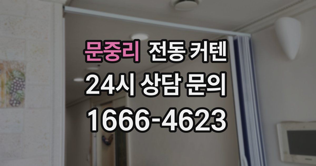 문중리 전동 커텐