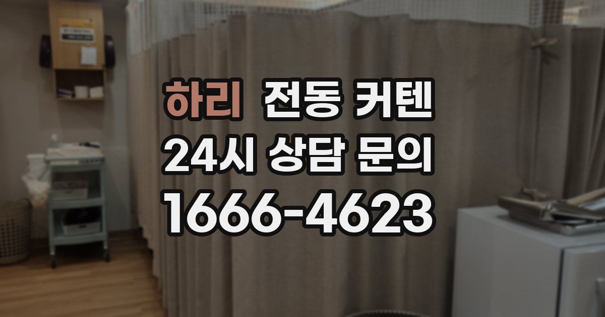 하리 전동 커텐