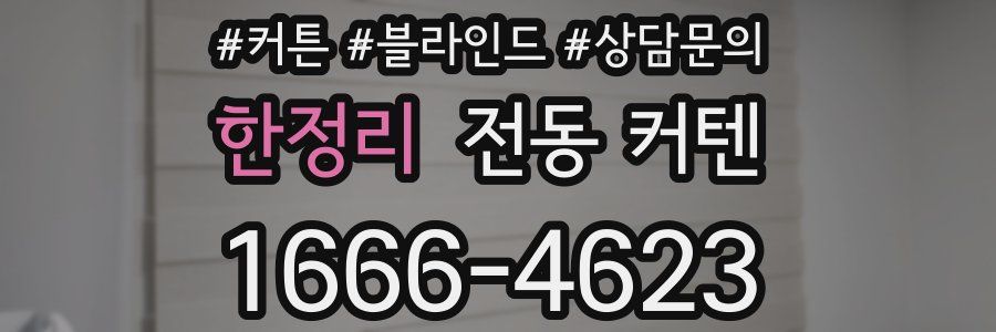 한정리 전동 커텐