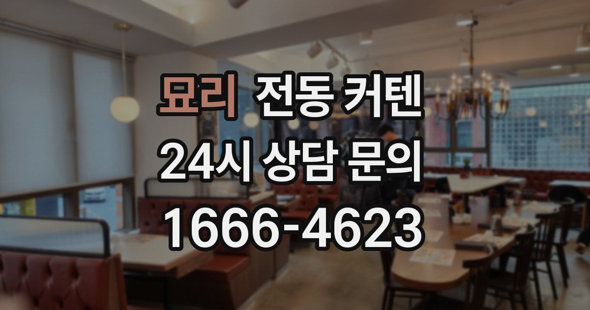 묘리 전동 커텐