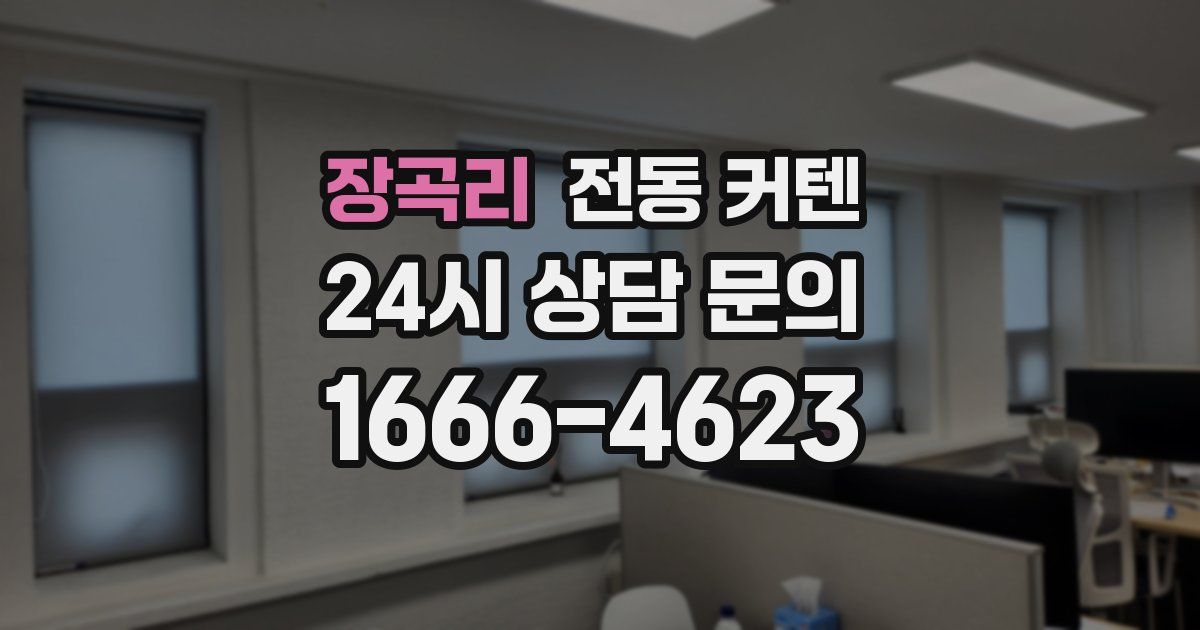 장곡리 전동 커텐