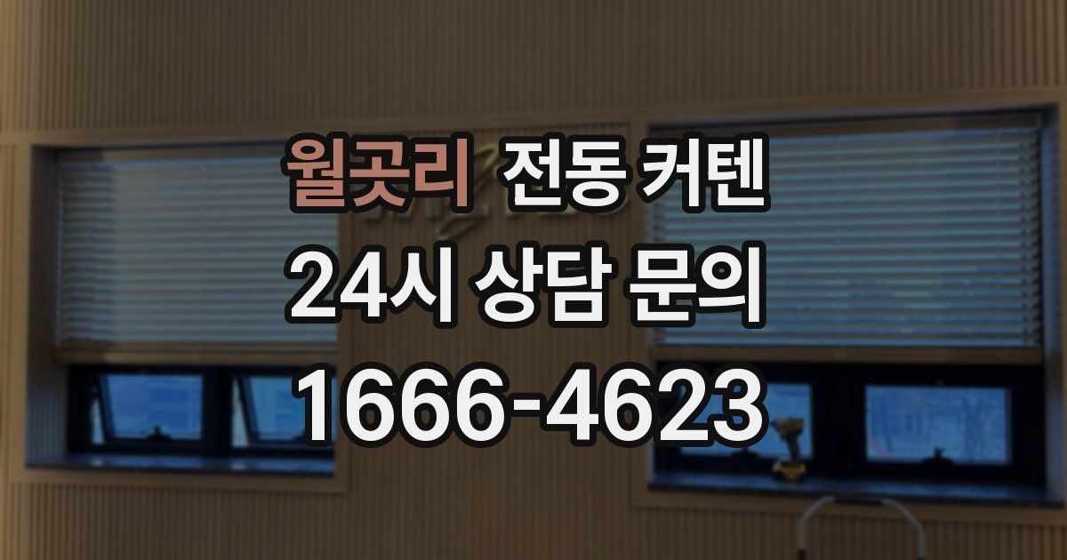 월곳리 전동 커텐