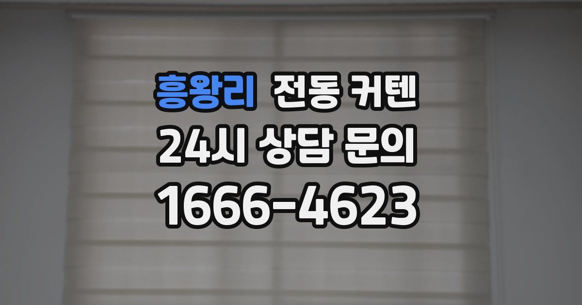 흥왕리 전동 커텐