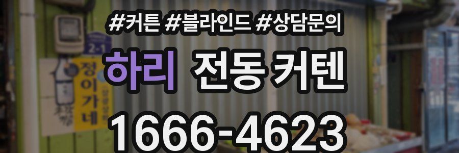 하리 전동 커텐