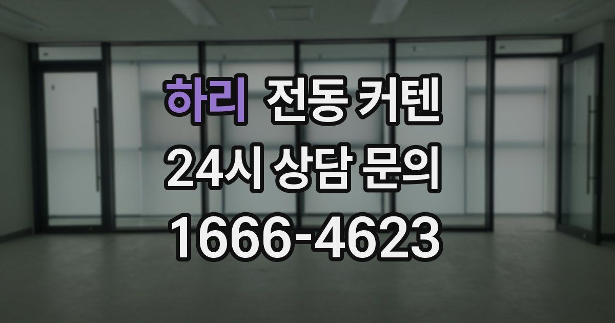 하리 전동 커텐