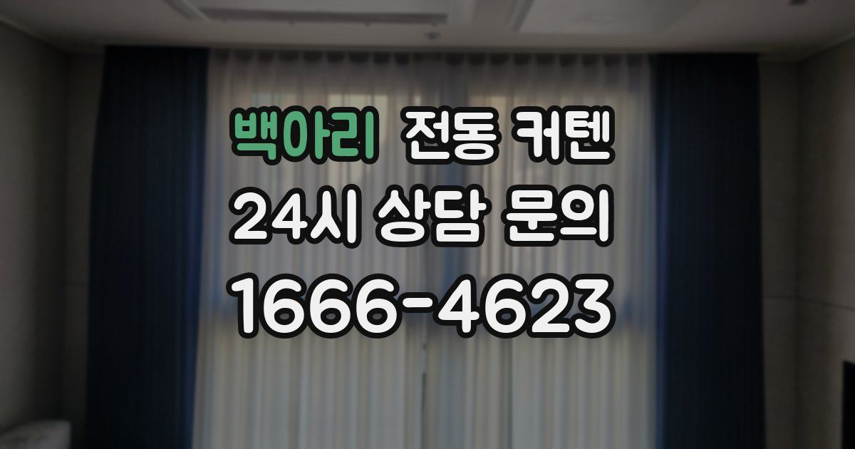 백아리 전동 커텐