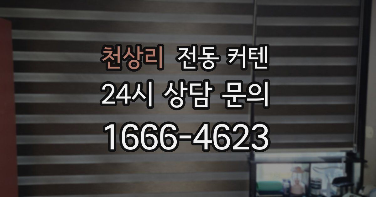 천상리 전동 커텐