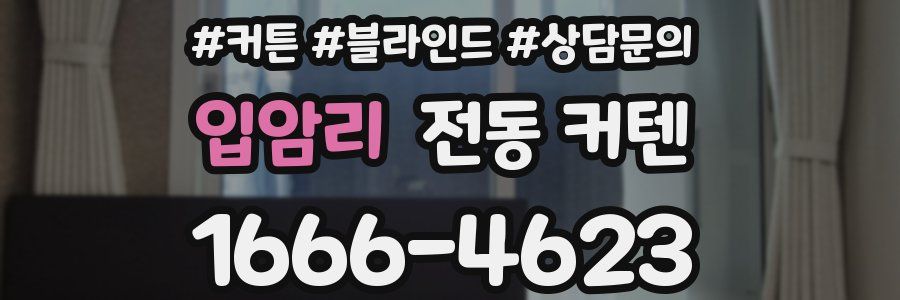 입암리 전동 커텐