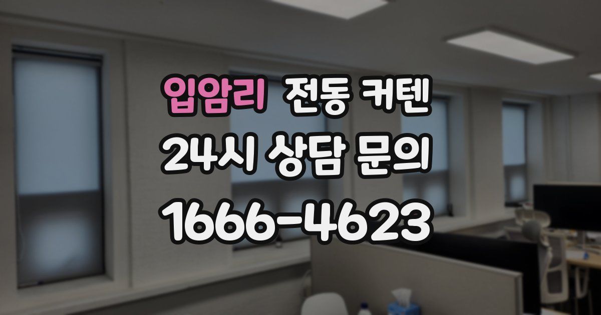 입암리 전동 커텐