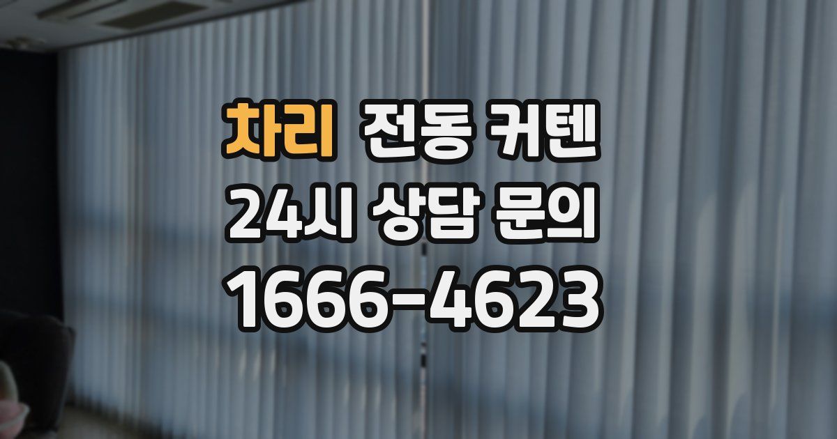 차리 전동 커텐
