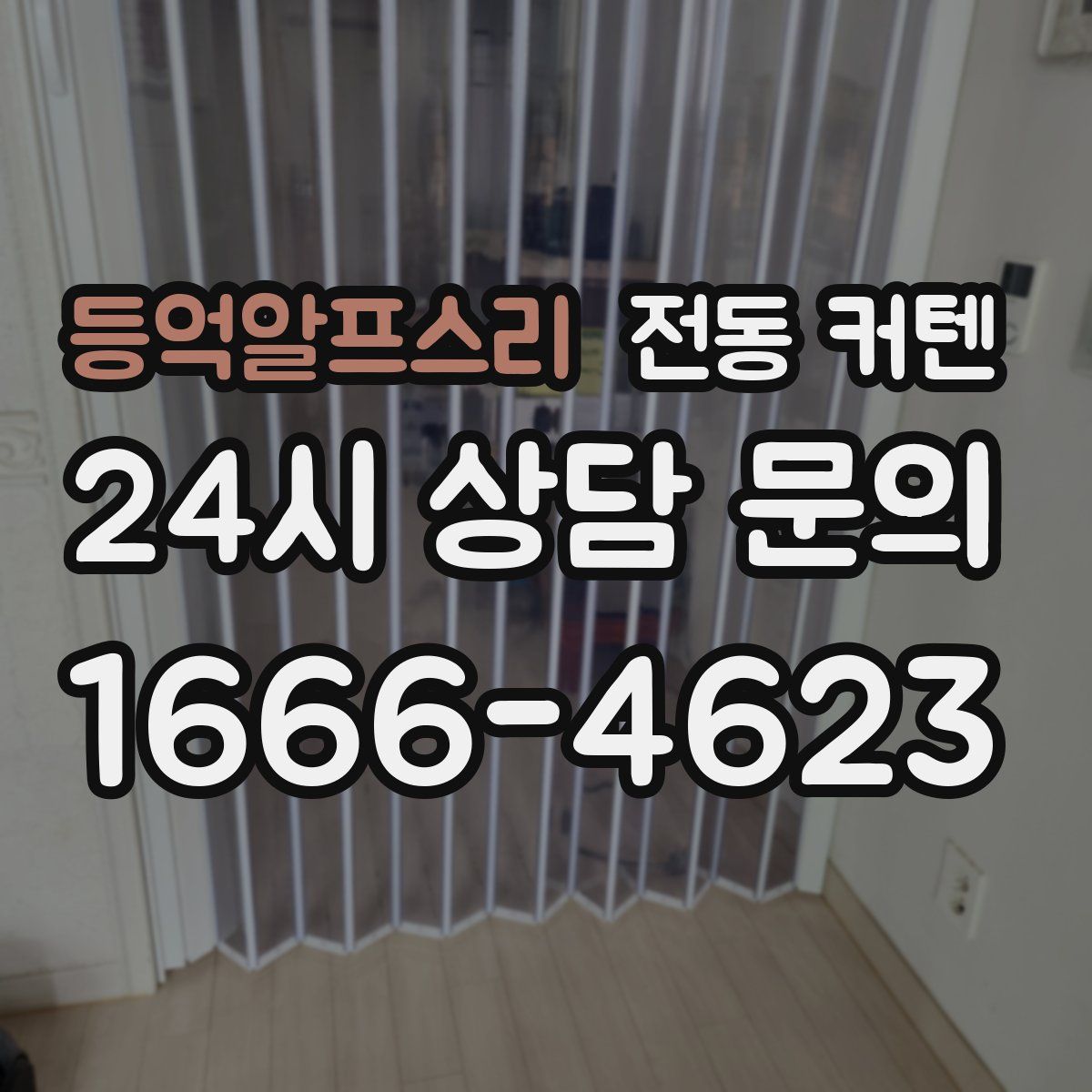 등억알프스리 전동 커텐