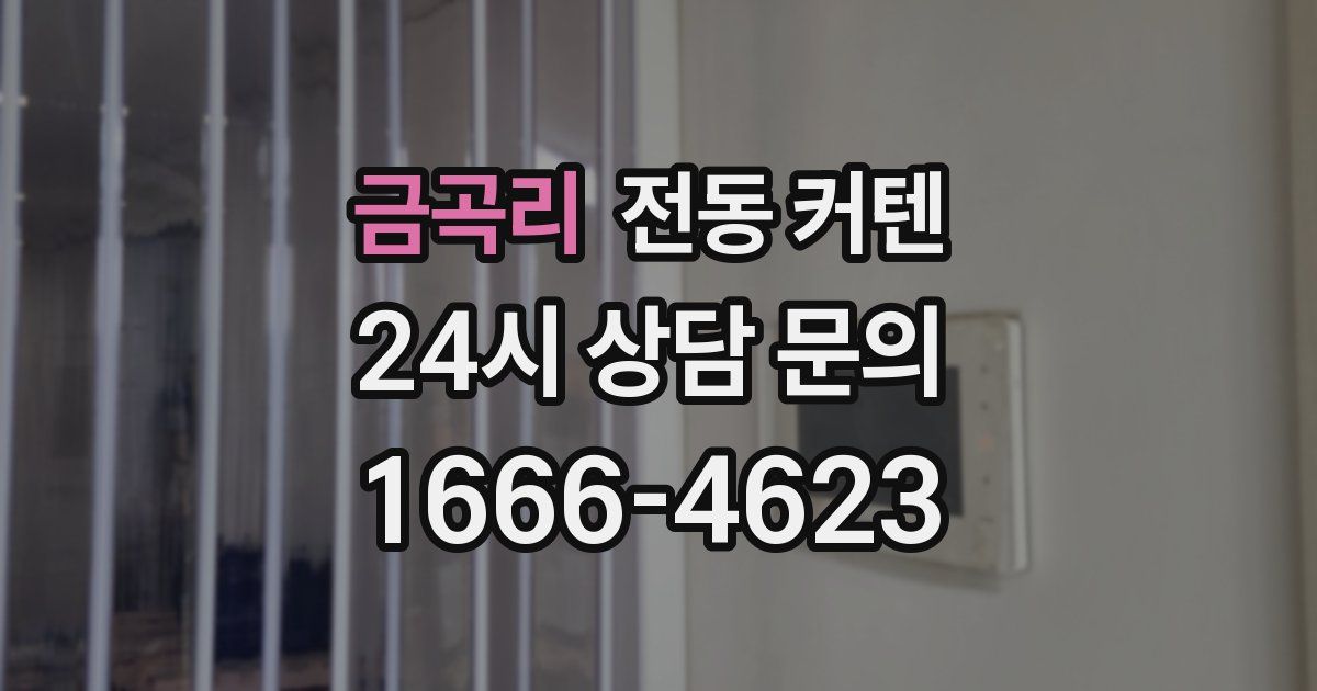금곡리 전동 커텐