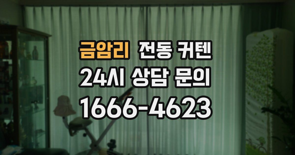 금암리 전동 커텐