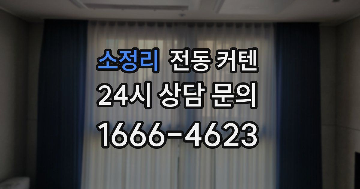 소정리 전동 커텐
