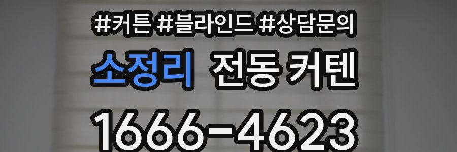 소정리 전동 커텐
