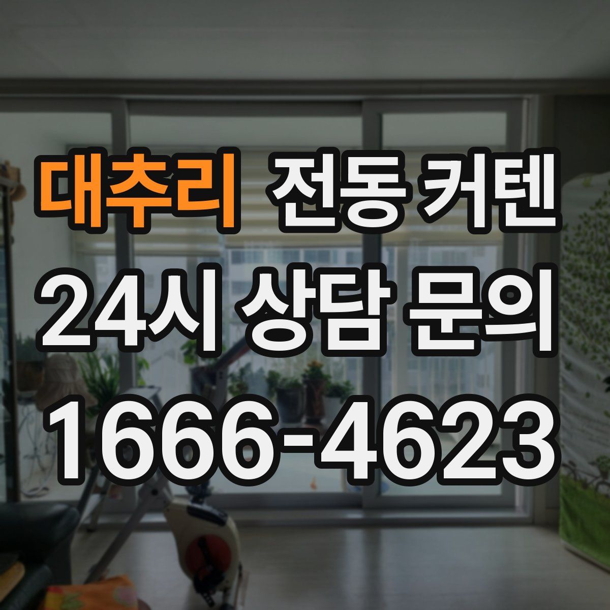 대추리 전동 커텐