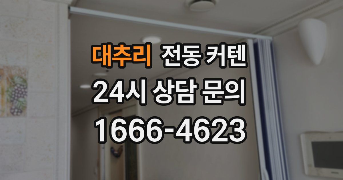 대추리 전동 커텐